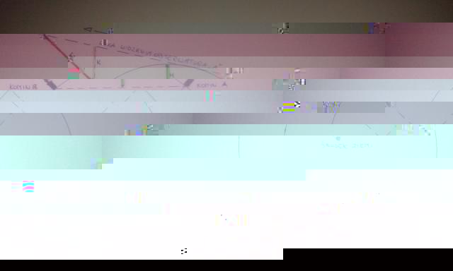 5331603_obserwacja.jpg